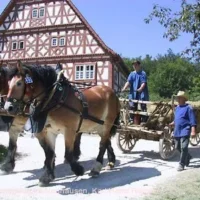 Großer Fuhrmannstag in Neuhausen ob Eck