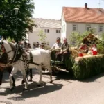 Adelindis Heimat- und Kinderfest in Bad Buchau am Federsee (27 km von Dächingen)
