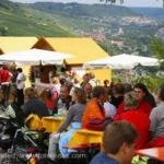 Kochertaler Genießertour in Forchtenberg (30 km von Bad Wimpfen)