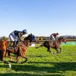 Galopprennen – “Große Woche” in Baden-Baden (21 km von Seebach)