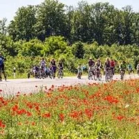 slowUp Hochrhein Laufenburg in (Baden)
