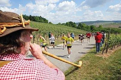 Heilbronner Trollinger