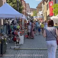 Eppinger Kunsthandwerkermarkt “Forum Artificium – Markt der Kunstfertigkeiten” in Eppingen