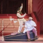 Il barbiere di Siviglia in Stuttgart (24 km von Aidlingen)