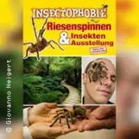 Insectophobie: Riesen Spinnen & Insekten in Nürtingen