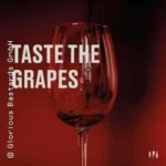 Taste the Grapes in Konstanz (29 km von Horgenzell)