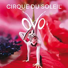 Cirque du Soleil – OVO in Stuttgart