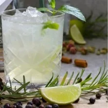 Gin Tasting in Karlsruhe