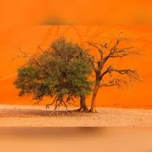Namibia – Die Schönheit Afrikas / Multivisionsshow von Andreas Huber in Lossburg