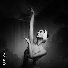 Grand Classic Ballet – Schwanensee – Jenseits der Bühne mit live Streichquartett in Tuttlingen / Möhringen