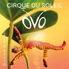 Flying-High Upgrade | Cirque du Soleil – OVO in Stuttgart